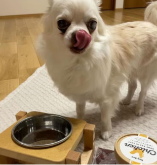 おこめくんと飼い主様の写真
